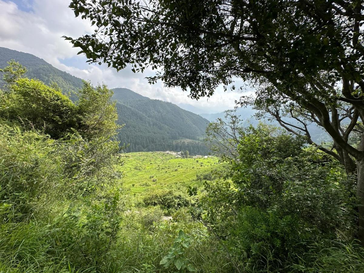 Deodar Village Homestay Devalsari Mussoorie Eksteriør billede