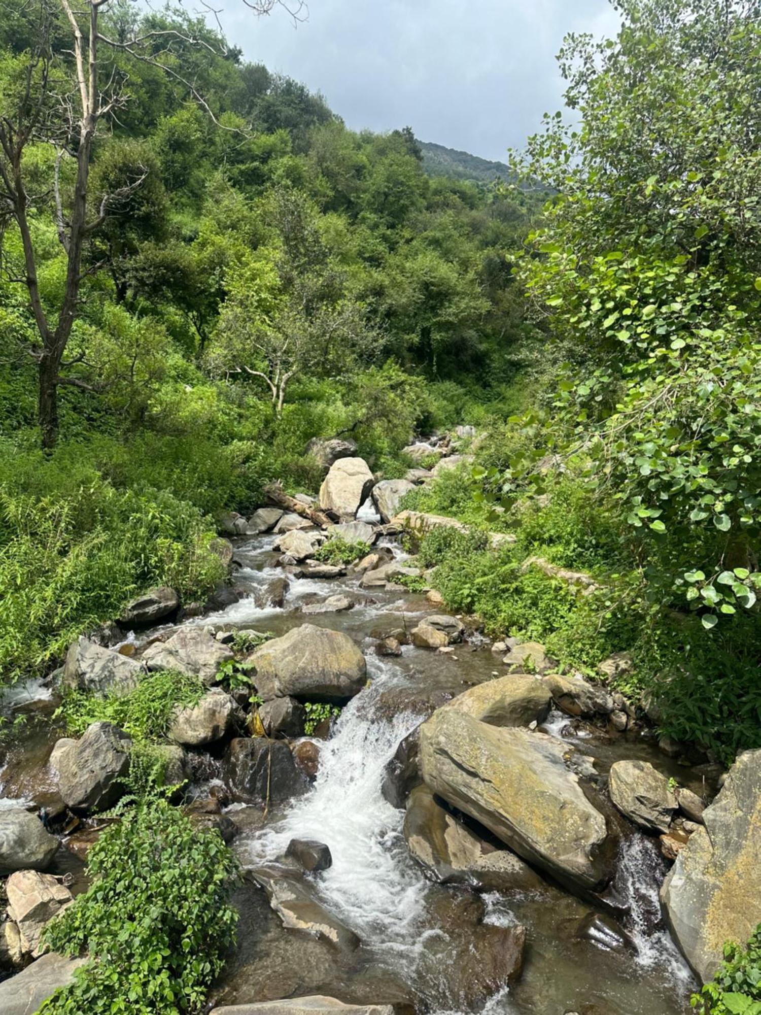 Deodar Village Homestay Devalsari Mussoorie Eksteriør billede