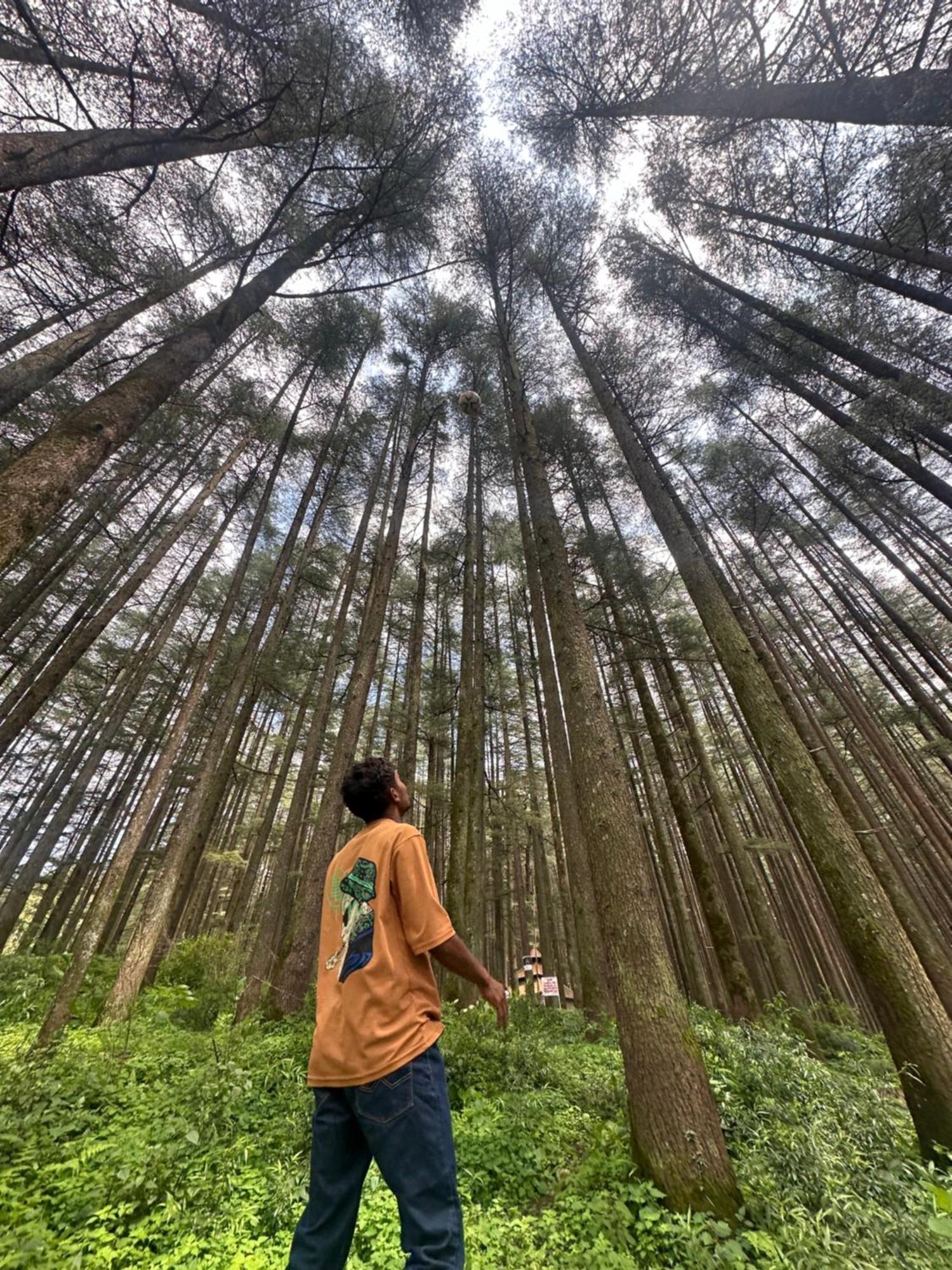 Deodar Village Homestay Devalsari Mussoorie Eksteriør billede