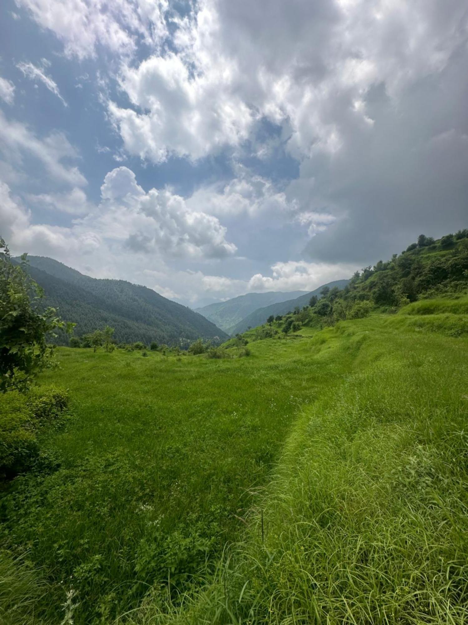 Deodar Village Homestay Devalsari Mussoorie Eksteriør billede
