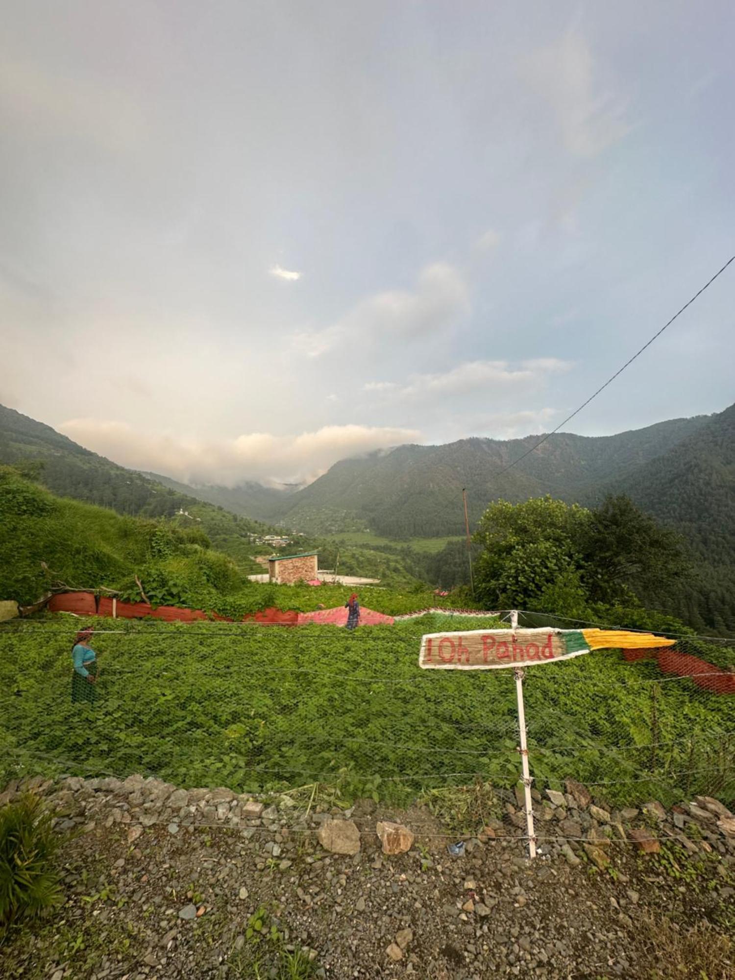 Deodar Village Homestay Devalsari Mussoorie Eksteriør billede