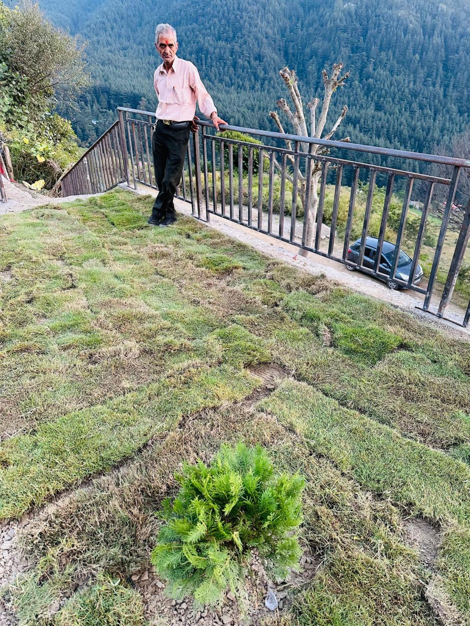 Deodar Village Homestay Devalsari Mussoorie Eksteriør billede