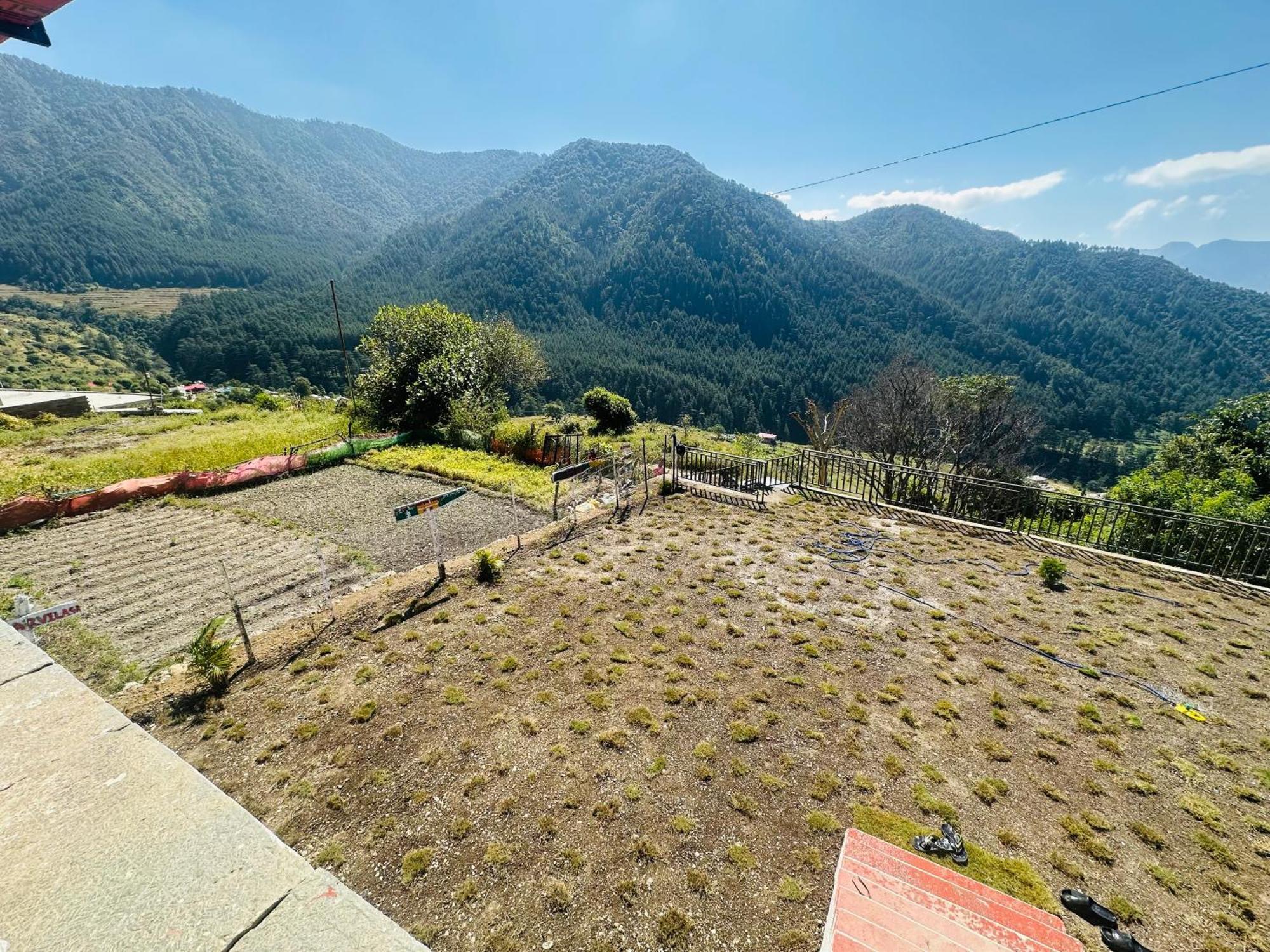 Deodar Village Homestay Devalsari Mussoorie Eksteriør billede